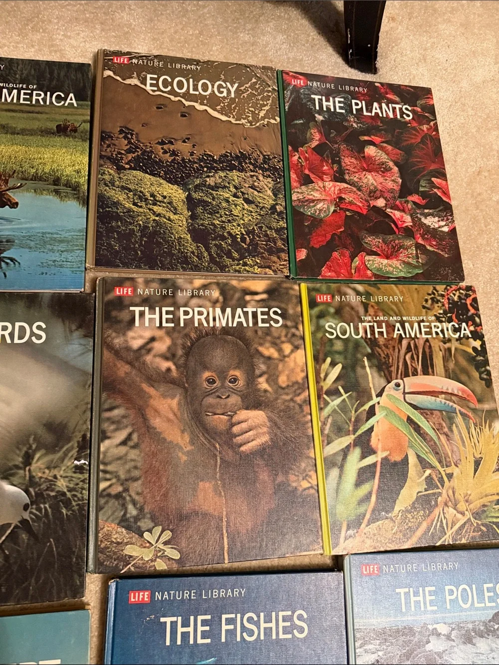 A Guide To Thr Natural World 18 books 📕